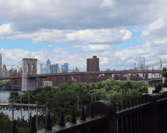 Serving Brooklyn and the Surrounding Boroughs